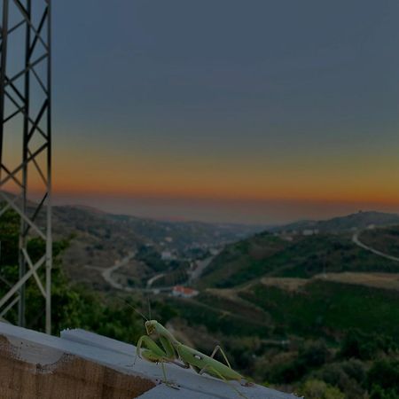 Casa Rural Malaga Monkey Love Con Jacuzzi Iznate 外观 照片